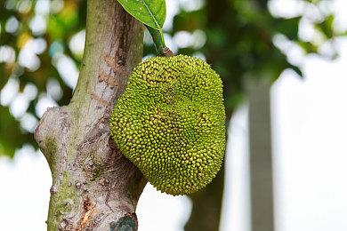 2024或成“高质量游戏年”？大的要来了！